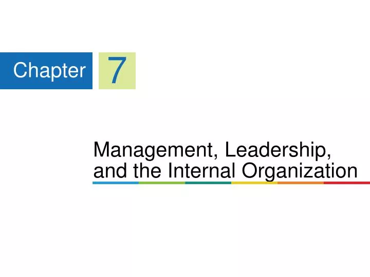 management leadership and the internal organization
