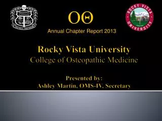 Annual Chapter Report 2013