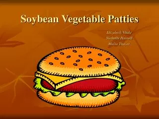 Soybean Vegetable Patties