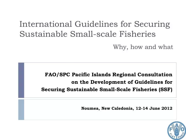 international guidelines for securing sustainable small scale fisheries