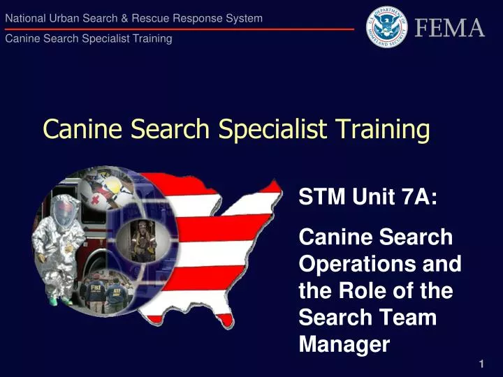 canine search specialist training
