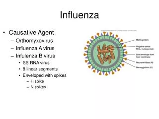 Influenza