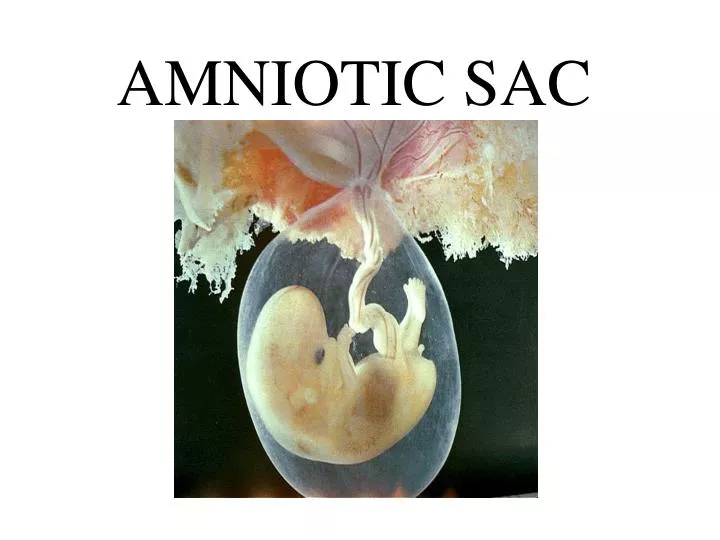 amniotic sac
