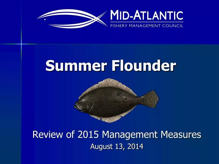 summer flounder