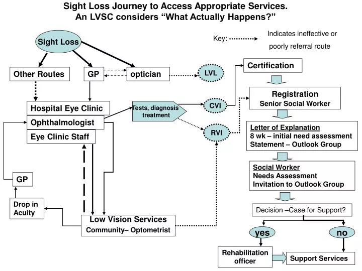 sight loss journey to access appropriate services an lvsc considers what actually happens