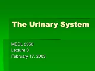 The Urinary System