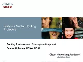 Distance Vector Routing Protocols