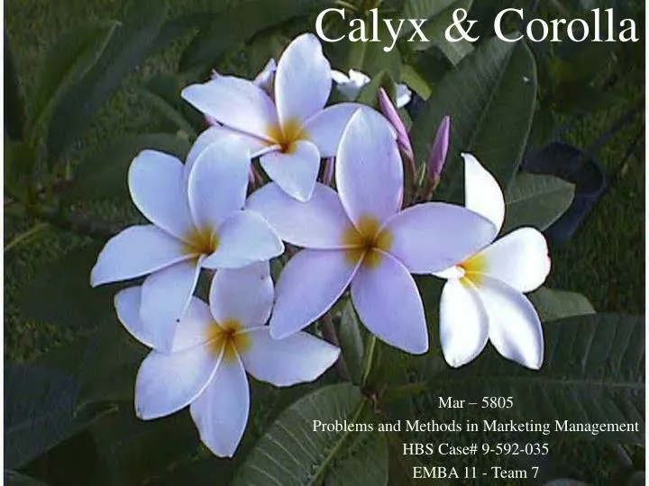 calyx corolla