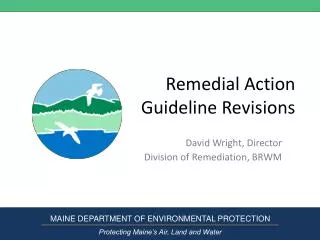 Remedial Action Guideline Revisions