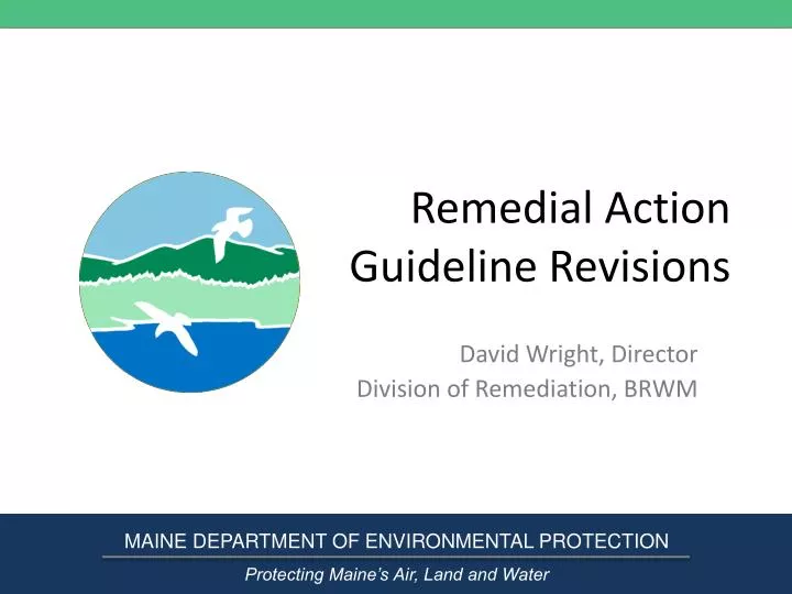 remedial action guideline revisions