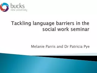 Tackling language barriers in the social work seminar