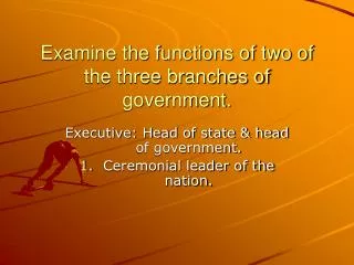 Examine the functions of two of the three branches of government.