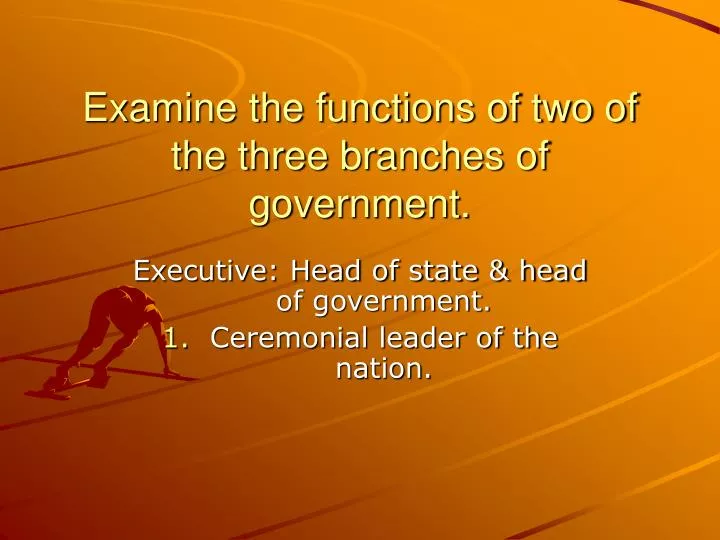 examine the functions of two of the three branches of government