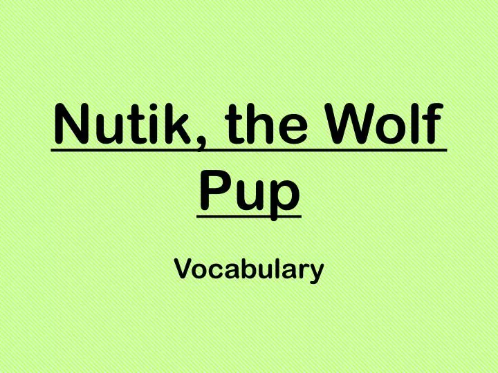 nutik the wolf pup