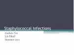 Staphylococcal Infections - slide 1