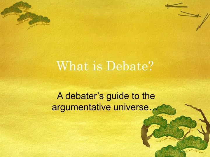 what is debate