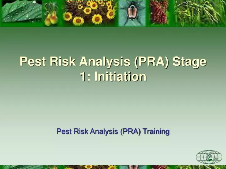 pest risk analysis pra stage 1 initiation