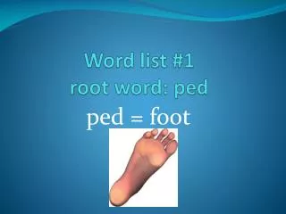 Word list #1 root word: ped