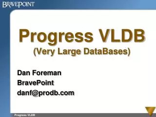 Progress VLDB (Very Large DataBases )