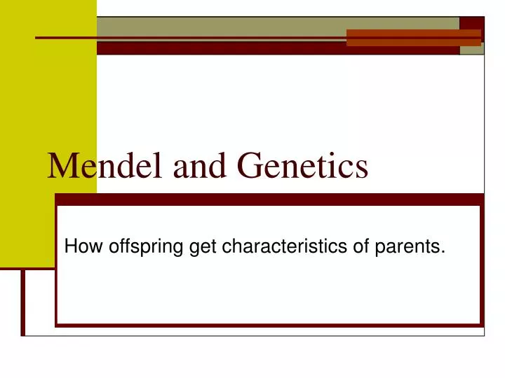 mendel and genetics