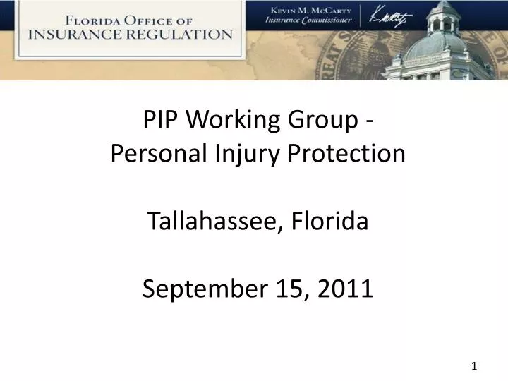 pip working group personal injury protection tallahassee florida september 15 2011