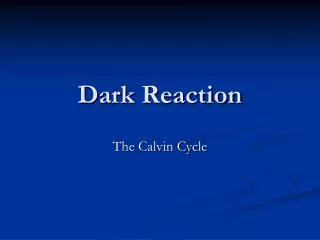 Dark Reaction