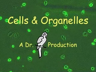Cells &amp; Organelles
