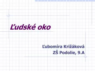 udsk oko