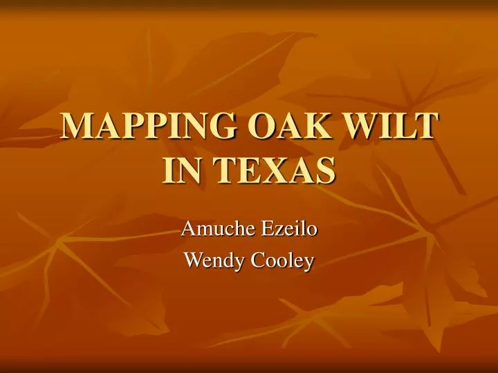 mapping oak wilt in texas