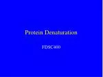 Protein Denaturation - slide 1