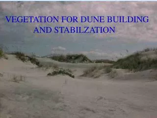 VEGETATION FOR DUNE BUILDING AND STABILZATION
