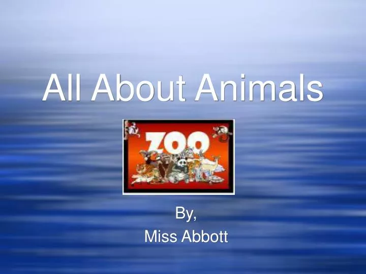 all about animals