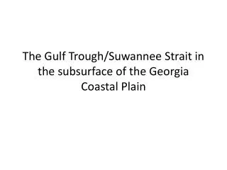 The Gulf Trough/Suwannee Strait in the subsurface of the Georgia Coastal Plain