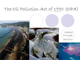 The Oil Pollution Act of 1990 (OPA)