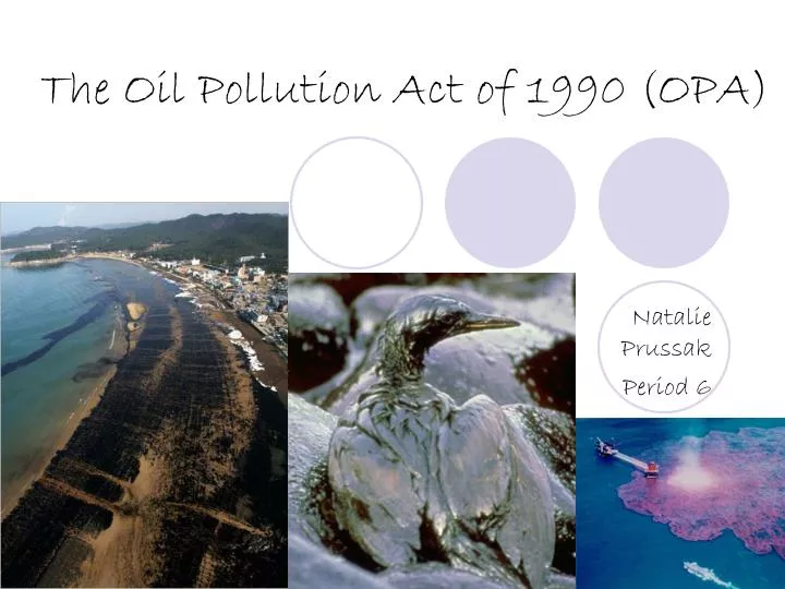 the oil pollution act of 1990 opa