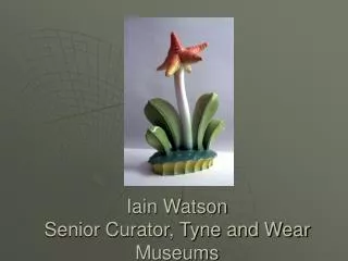 Iain Watson Senior Curator, Tyne and Wear Museums