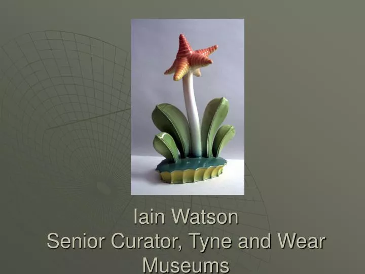 iain watson senior curator tyne and wear museums