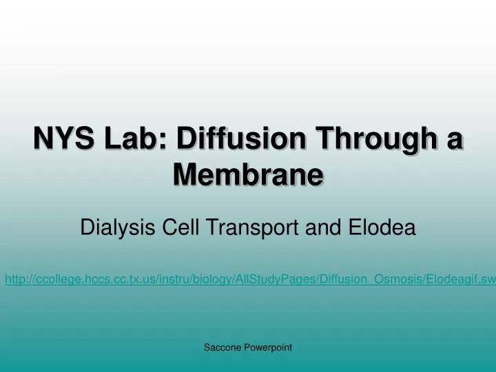 nys lab diffusion through a membrane