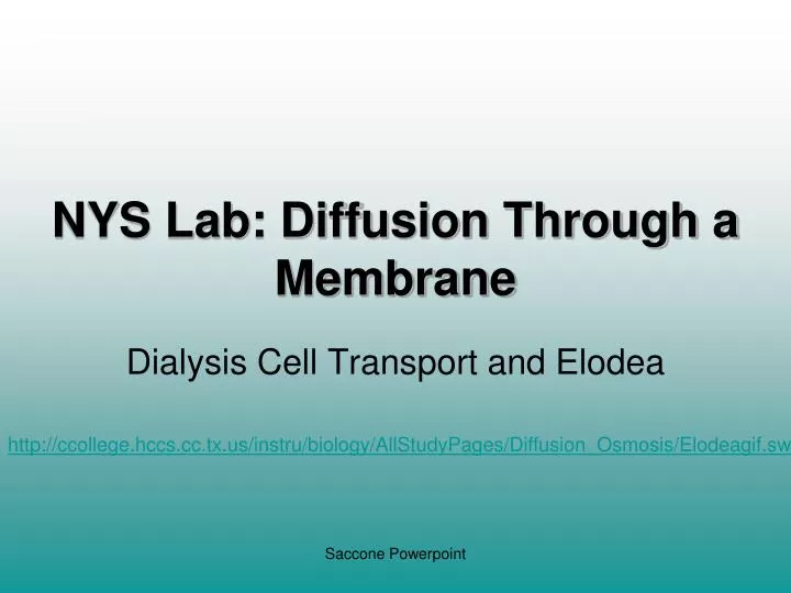 nys lab diffusion through a membrane