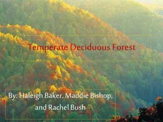 temperate deciduous forest