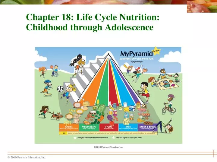 chapter 18 life cycle nutrition childhood through adolescence