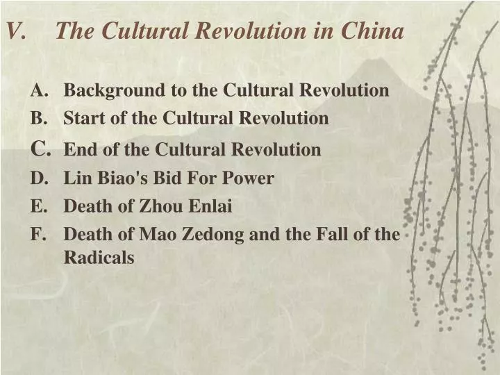 v the cultural revolution in china