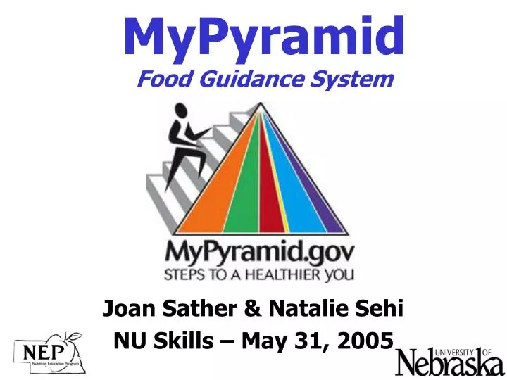 mypyramid food guidance system