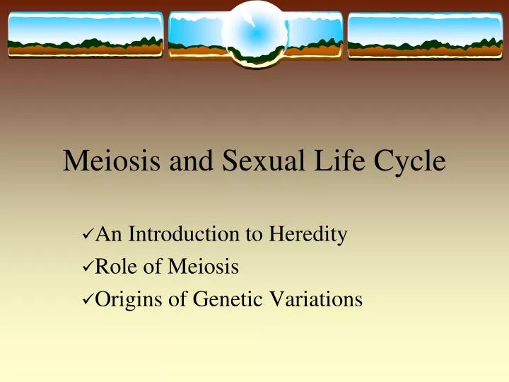 meiosis and sexual life cycle