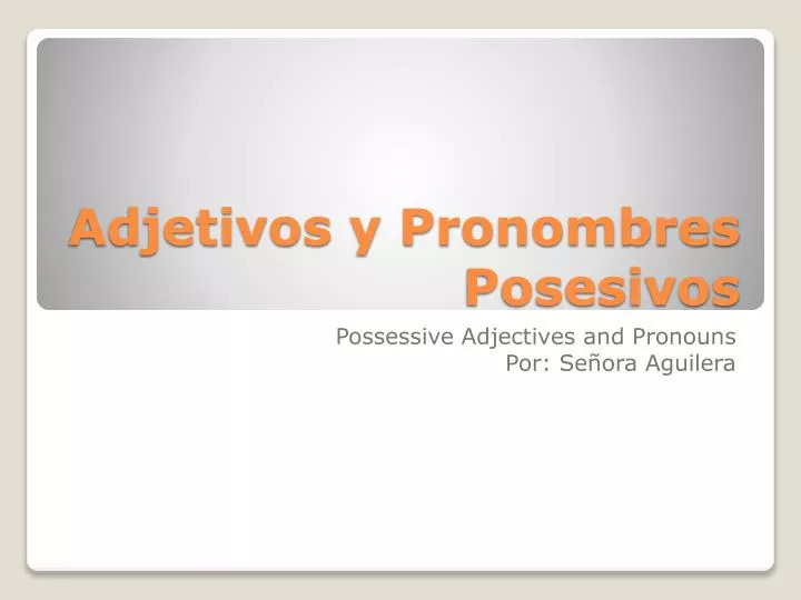 adjetivos y pronombres posesivos