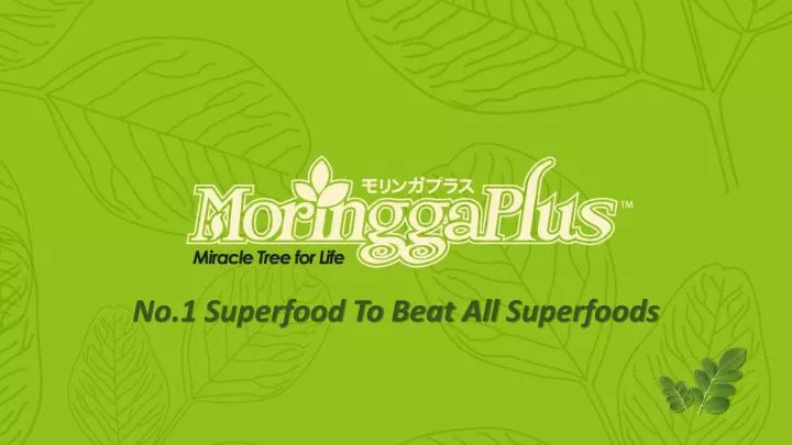moringgaplus com