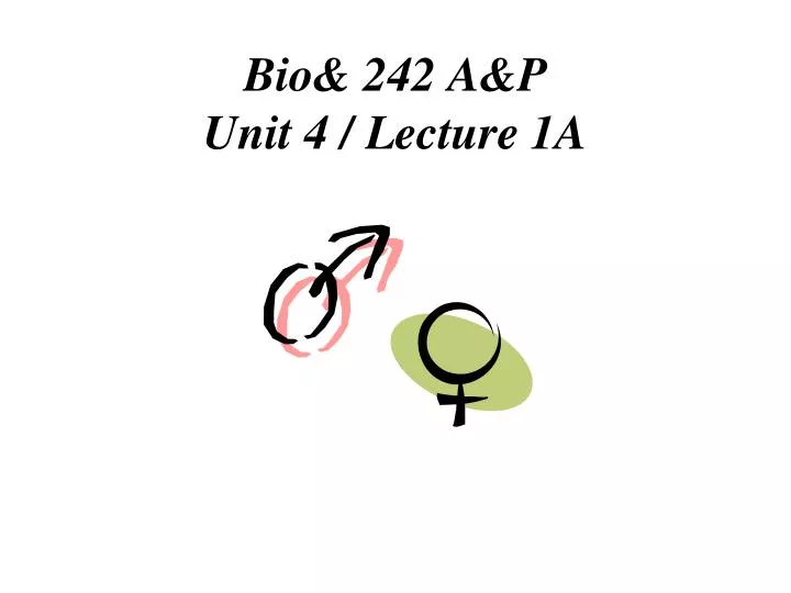 bio 242 a p unit 4 lecture 1a