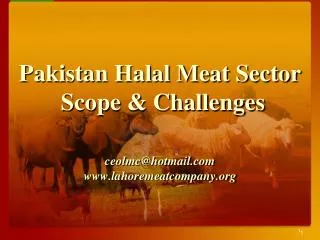 Pakistan Halal Meat Sector Scope &amp; Challenges ceolmc@hotmail lahoremeatcompany