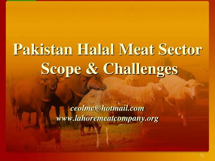 pakistan halal meat sector scope challenges ceolmc@hotmail com www lahoremeatcompany org
