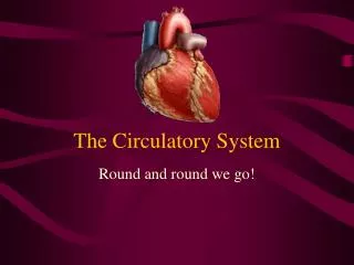 The Circulatory System